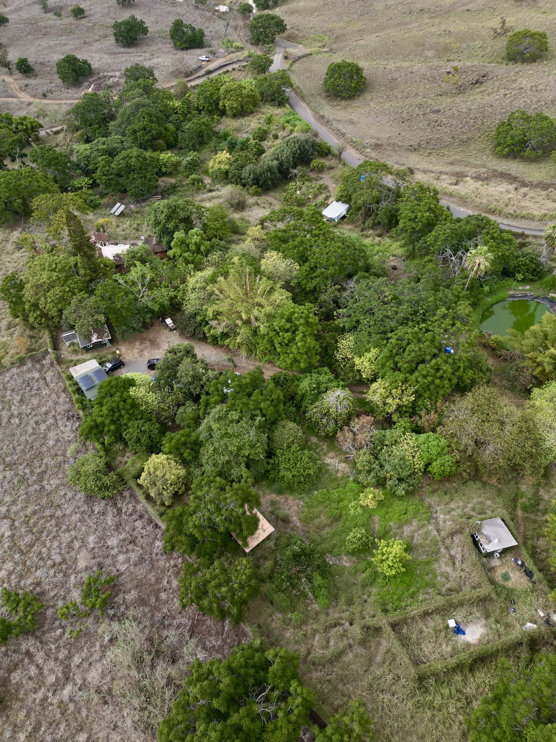 Overhead aerial of an upcountry Maui parcel showing structures, orchard planting, a lined catchment pond, access road, and pasture boundaries.