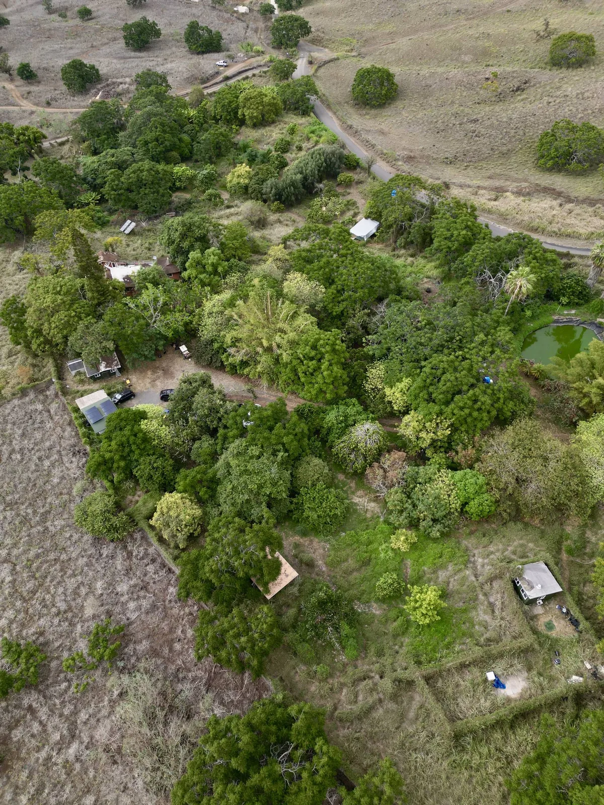 Overhead aerial of an upcountry Maui parcel showing structures, orchard planting, a lined catchment pond, access road, and pasture boundaries.