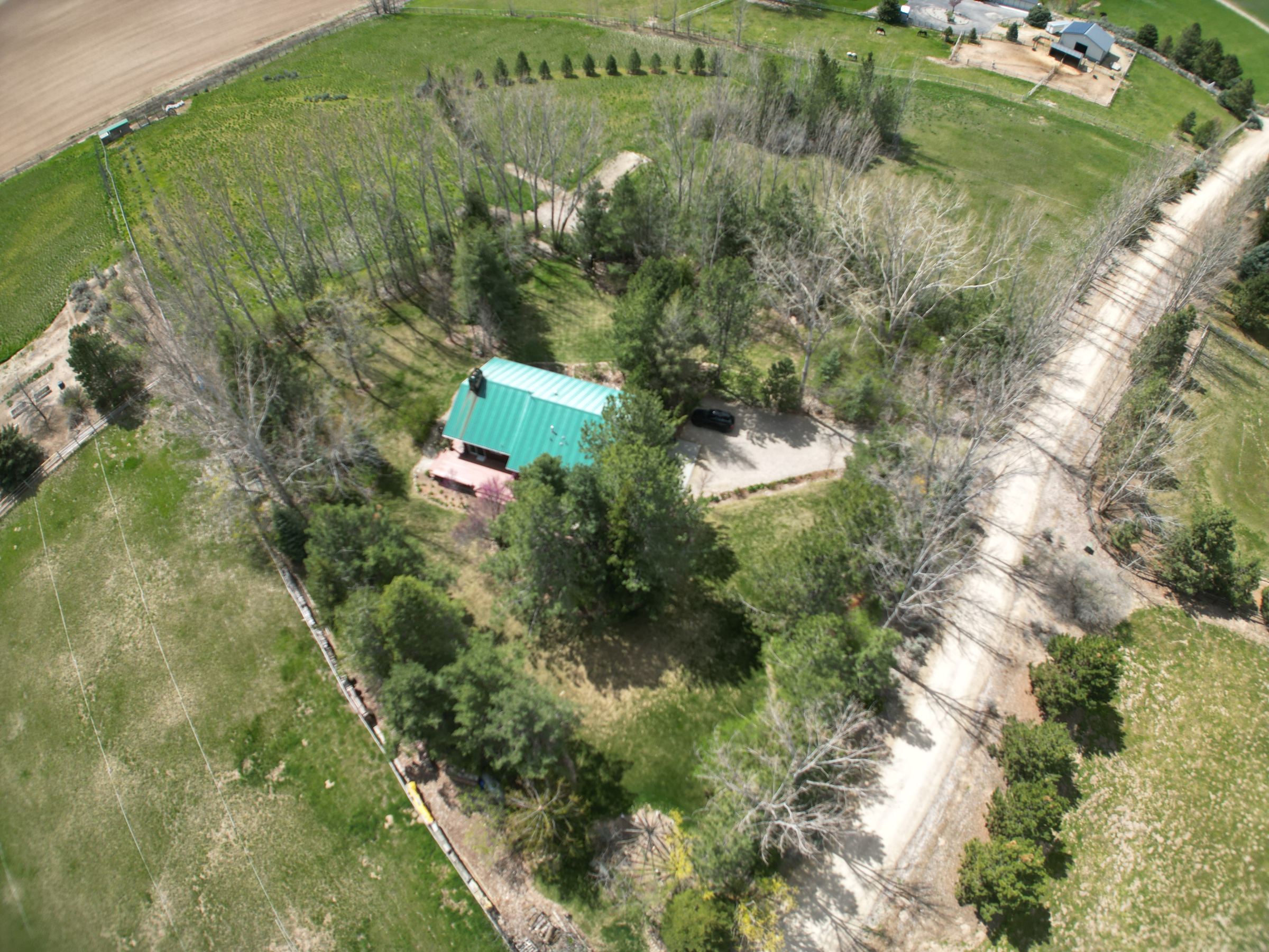 Aerial view of a rural residence with a green metal roof, mature cottonwoods, a gravel drive, and fenced irrigated pasture.